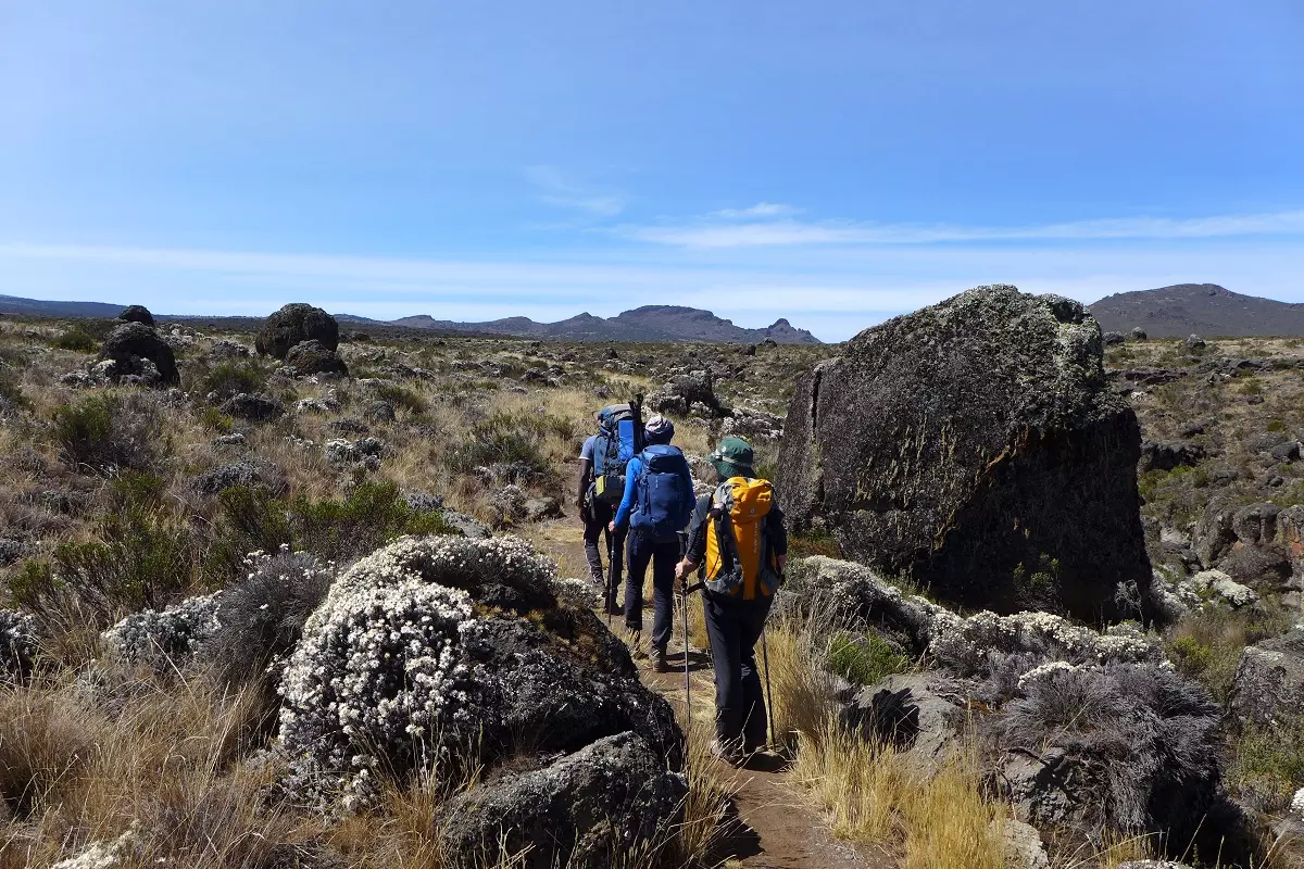 Unterwegs am Shiraplateau des Kilimanjaro am dritten Tag 